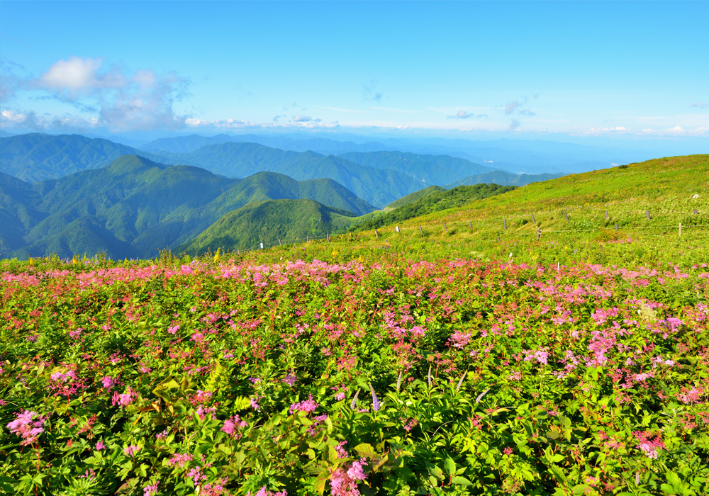 伊吹山